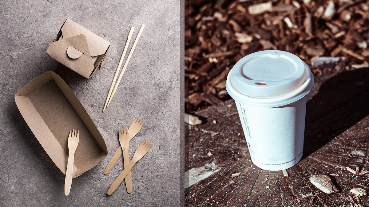 biodegradable versus compostable